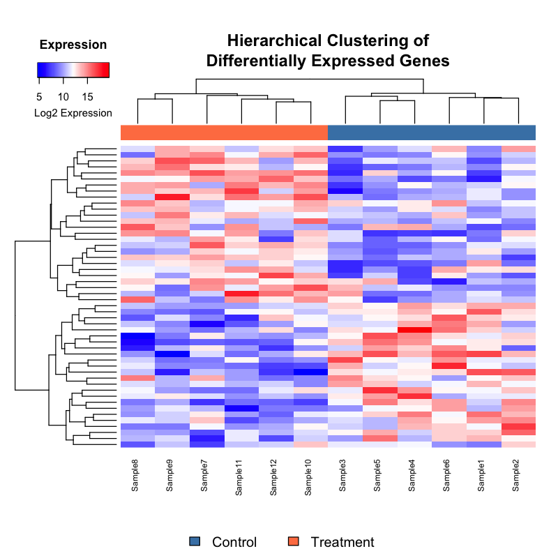 Gene Expression Heatmap